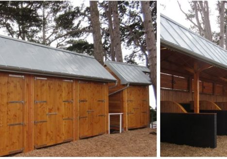 Leopardstown Racecourse Stables